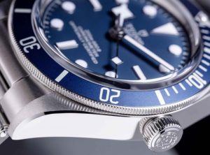 Steel Case Copy Tudor