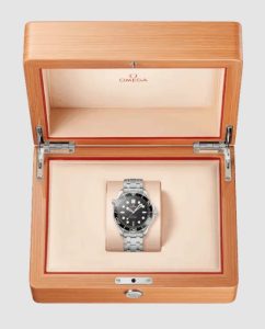 AAA Copy Omega Seamaster Diver 300M Watches